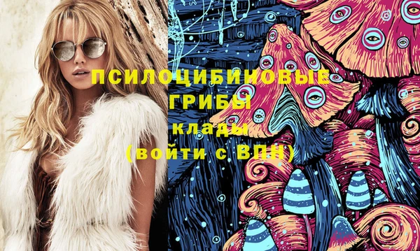 дмт Баксан